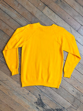 Load image into Gallery viewer, vintage 1960s 70s flocked DISNEY World sweatshirt