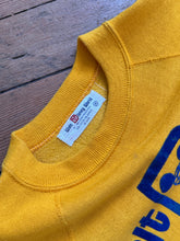Load image into Gallery viewer, vintage 1960s 70s flocked DISNEY World sweatshirt