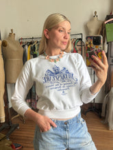 Load image into Gallery viewer, vintage 1990s Shakespeare sweatshirt
