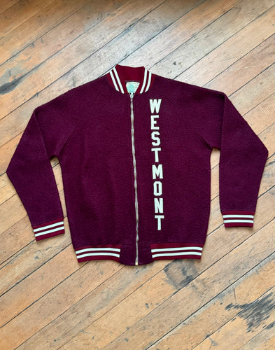 vintage 1960s CHAMPION fuzzy sportswear sweatshirt zip up